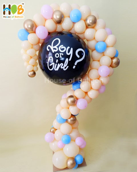 Gender Reveal Exploding Balon Stand ? – House of Balloon